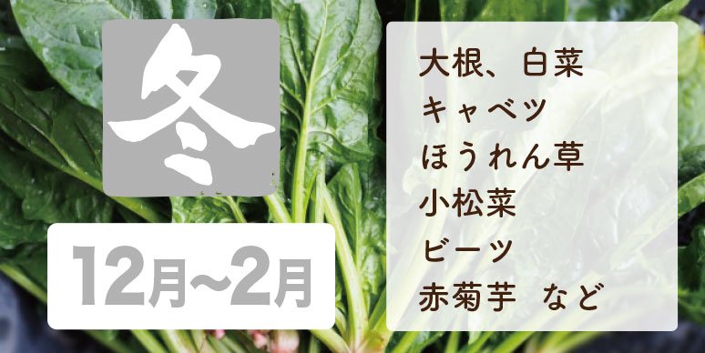 冬野菜画像